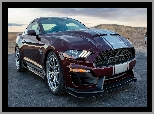 Ford Shelby Super Snake