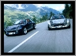 Czarny i Srebrny, Smart Roadster