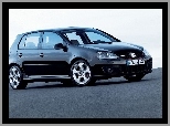 Volkswagen Golf 5, Czarny